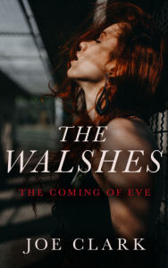 The Walshes Book cover